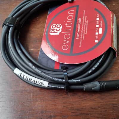 Instrument Cable 25-foot ProCo EVLGCLN-25 ANG-STR image 3
