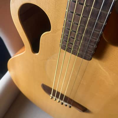 Tacoma BM6C Baritone Thunderhawk Datt Case image 1