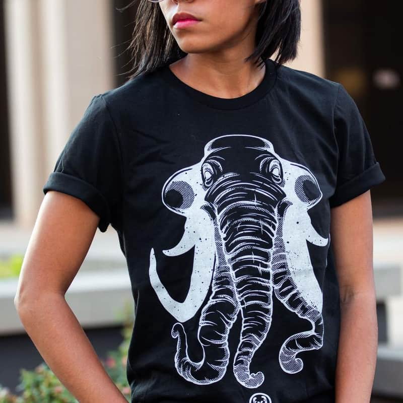 Walrus Audio Ages Tee – Small