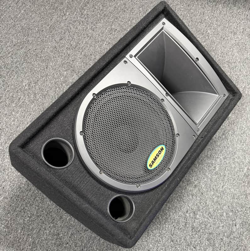 Samson Resound RS10M 10