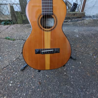 Jay Gordon Handmade Custom osage Orange Parlor Guitar image 1