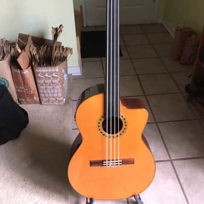 LaBella ABE 100 FC Fretless Acoustic Bass image 1