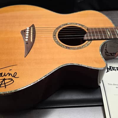 Dave Mustaine's personal Dean Recording Studio Acoustic Guitar Martin D45 Cutaway MEGADETH Artist Signed owned by DAVE MUSTAINE with custom USA tour soft case image 11