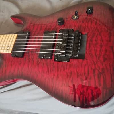 Agile Septor 7 string Floyd, Seymour Duncan Blackouts Transparent red in a thick soft case bottle protection box image 3