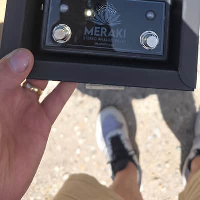 Walrus Audio Meraki Stereo Analog Delay Limited Edition - Blacked Out 2023 - Blacked Out image 1