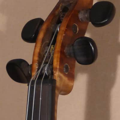 Gebruder Placht Violin image 6