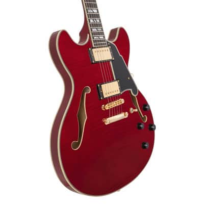 D'Angelico Excel DC Trans Cherry w/Gigbag image 3