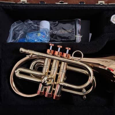 Carol Brass Phat Puppy 2023 image 5