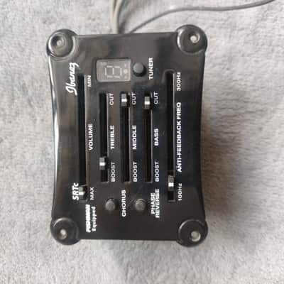 Ibanez EW Series Folk Acoustic Guitar Pickup image 1