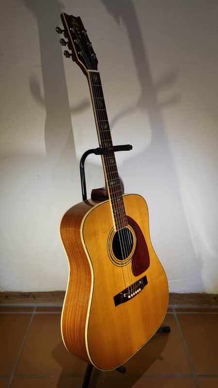 Takeharu WT-300 Folk | Reverb