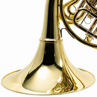 Yamaha YHR-668D Professional Double French Horn with Screw Bell SN 001227 image 9