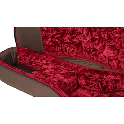 Taylor GS Mini Aero Case Chocolate Brown image 2