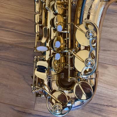 Alto Sax & accessories - Trevor James The Horn 2024 - Gold Lacquer image 2