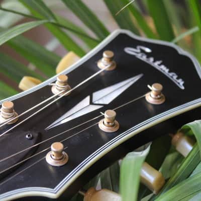 EASTMAN "LIMITED 50 pieces ONLY T59/TV-B Limited Edition, Gold Hardware" HARDCASE, 4, 05 KG image 15