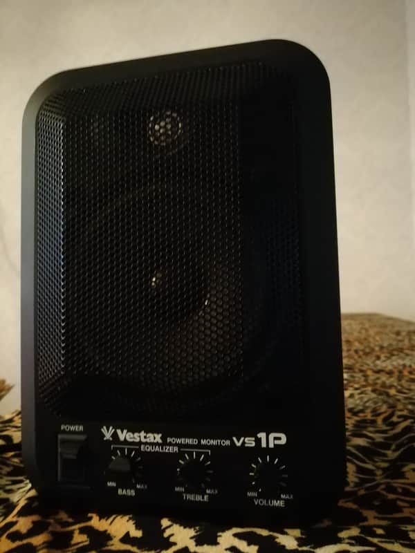 Vestax Powered Monitor vs 1P 2005 - Looks Brand New. No scratches or dents. image 1