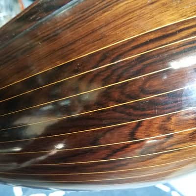 Vega Lansing Special Vintage Bowlback Mandolin c.1903-1910 image 13