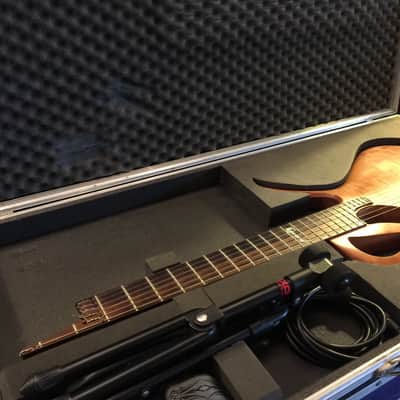 Paradis Avalon Nylon String Electric Polyphonic Guitar image 21