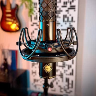 Nordic Audio Labs NU-24K Large Diaphragm Cardioid Condenser Microphone 2025 - Present - Black image 2