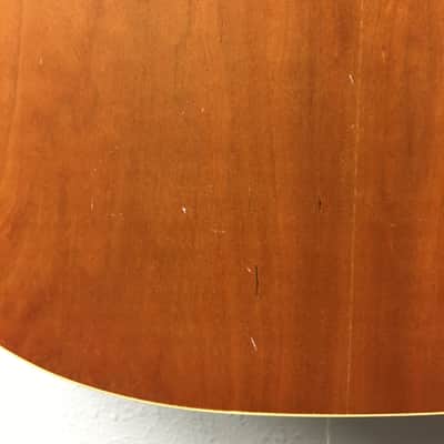 Norman B20 (6) Acoustic Guitar image 9