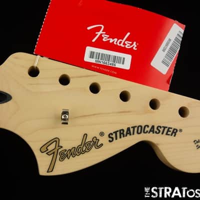 Fender Tom Delonge Stratocaster Strat NECK, Modern image 1