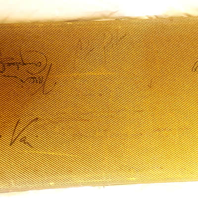 Steve via  Ibanez case with signed shredders image 1