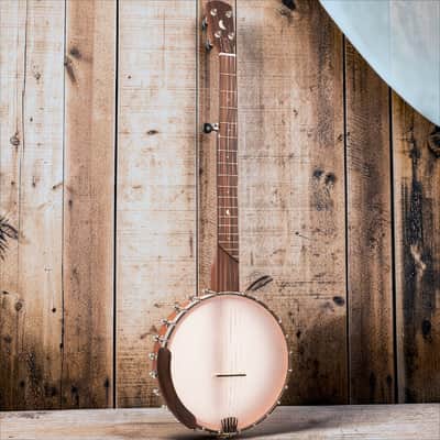 Gold Tone HM-25 High Moon Openback 11" Banjo with Padded Bag image 2