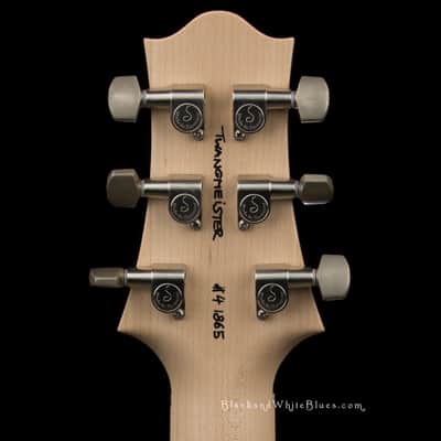 Nik Huber Guitars Twangmeister in Custom Lake Placid Blue - 4 1865 image 6