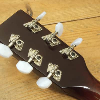 Tennessee 6-String Gitarren-Banjo / Guitar Banjo incl. Case image 23