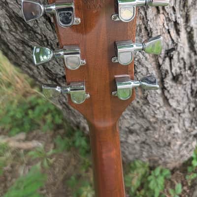 Gibson SG standard 1973 - Walnut image 7