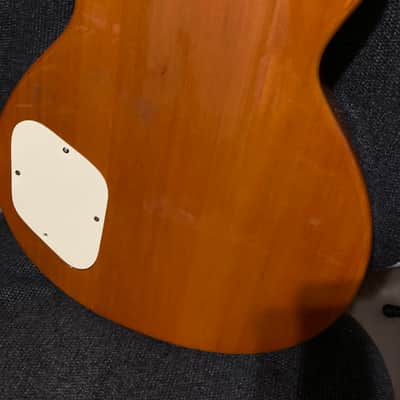 Agile 3010 2010-2018? - Gloss Poly ?? image 3