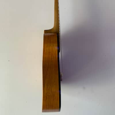 Randolin MN-0-BN 2022 nylon strung mandolin image 5