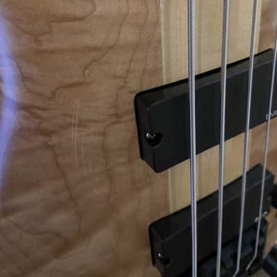Spector Euro4 LX 2009 - matte image 6