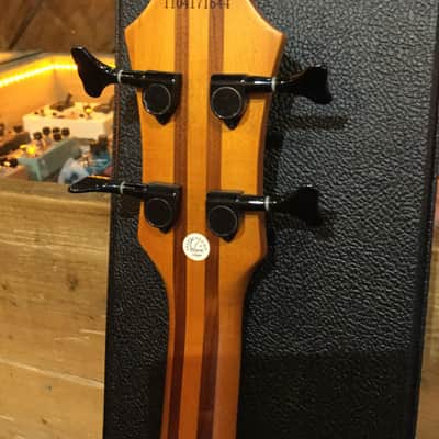 Epiphone Zenith Bass (2010-2012) image 5