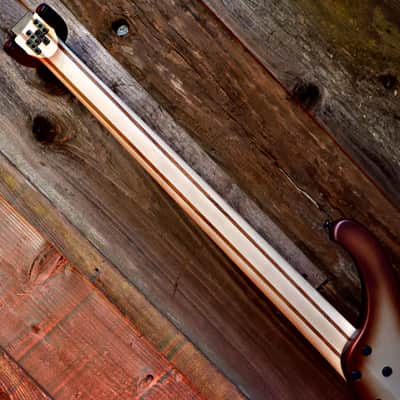 Ibanez EHB600-CCM Bass Workshop - Charred Champagne Burst Matte image 14