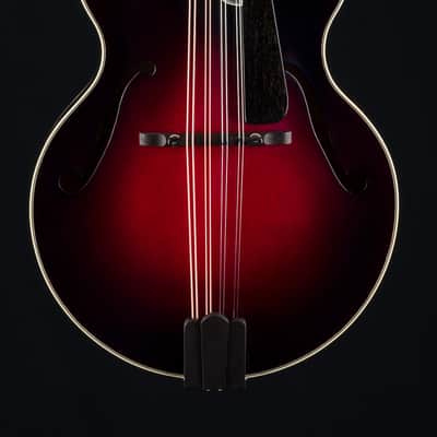 Hinde Jazz Model Adirondack Spruce and Flamed Maple Merlot Burst Mandolin with Pickup image 4