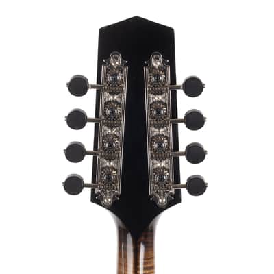 Used Northfield NFMSP-A4 Mandolin Sunburst 2023 image 9