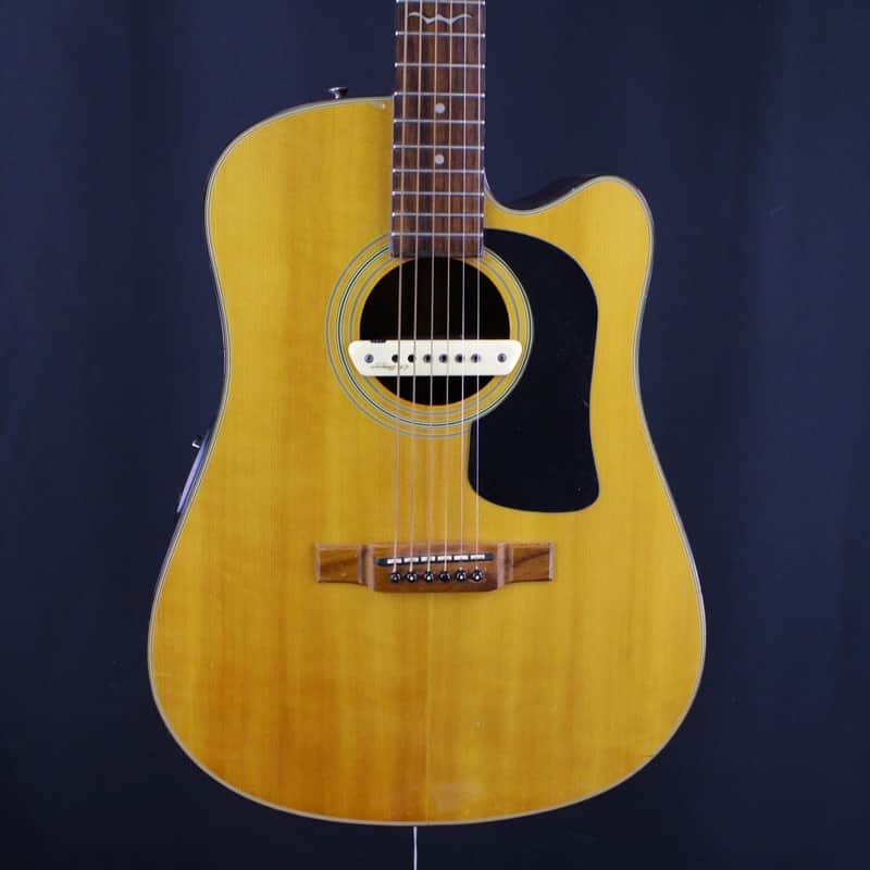 Washburn D12-CE/N w/ LR Baggs Active M1 image 1