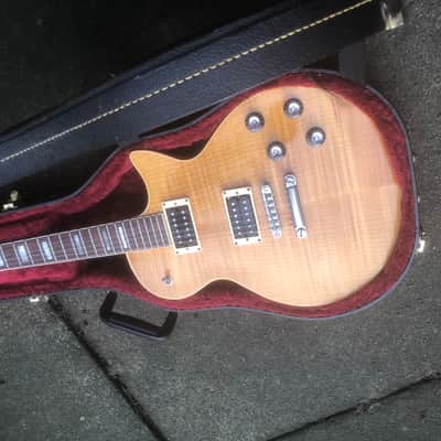 Guild Bluesbird image 8
