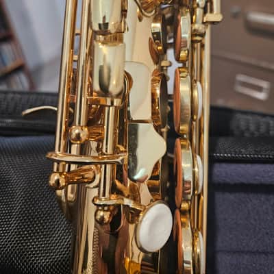 Todd Oxford Saxophones Signature Series 2007 - Gold Lacquer image 9