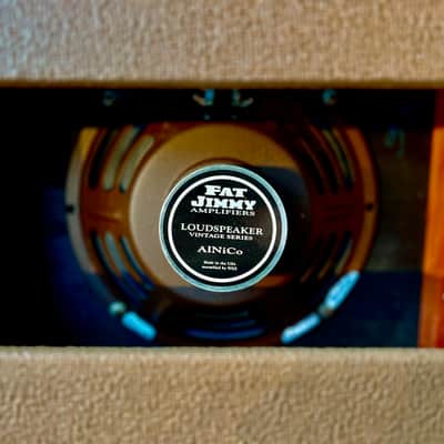 1963 Fender Princeton 6G2 Brownface Combo Tremolo non reverb image 9