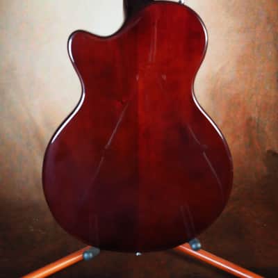 Firefly Aerosonic FFLPS Les Paul style - Red Tobacco Sunburst image 5
