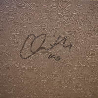 Prototype #2 Orange Oriverb Orianthi Signature (signed)  2-Channel 50-Watt 2x12" Guitar Combo 2024 - Present - White image 11