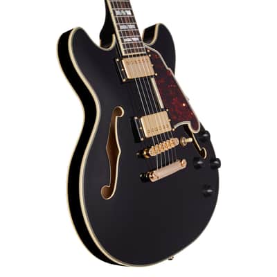 D'Angelico DAEMINIDCSBKGS EXCEL MINI DC Double Cutaway Semi-Hollow Body 6-String Electric Guitar w/Deluxe Hardshell Case image 2