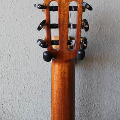 Brand New Cordoba C10 Spruce Top Classical Guitar image 8