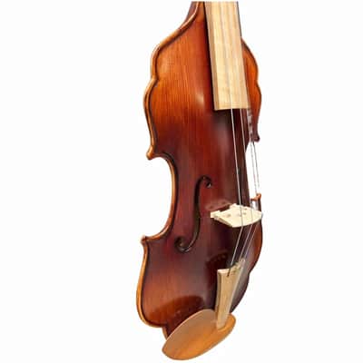 Unique design,4/4 Violin without rib, Carved dragon Scroll No rib Violin image 3