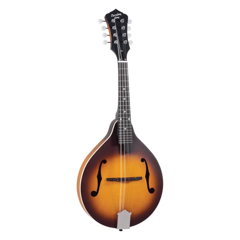 Recording King RAM-3-TS Dirty 30s A-Style Mandolin