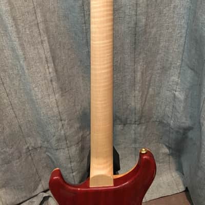 Paul Reed Smith Custom 24 Artist Autumn Sky Pattern Thin image 14