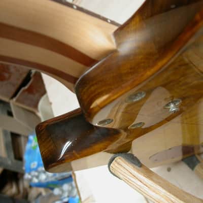Complete to Suit: Till Guitars Redwood Burl Boutique Thinline Handmade in California image 5