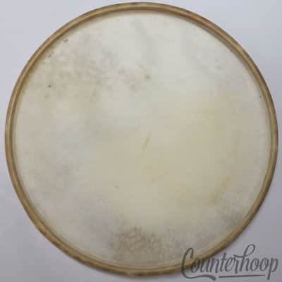 *Ludwig & Ludwig 14" Calf Skin Snare/Tom Drum Batter Head Vintage 30s Calfskin* image 3