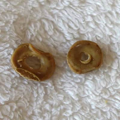 RARE Vintage 1960s Gibson Decomposing Rubber Spacer/Washers for Melody Maker PUP Height Adjustment!! image 2